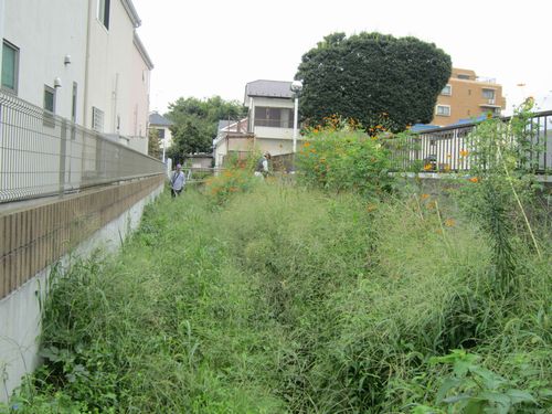 鎌倉パスタ駐車場脇