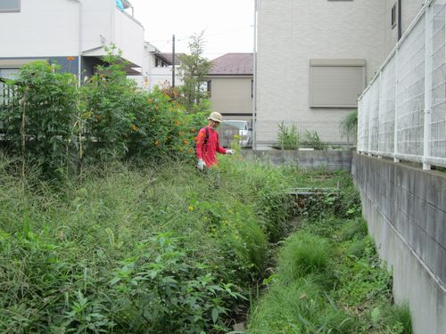 鎌倉パスタ駐車場脇