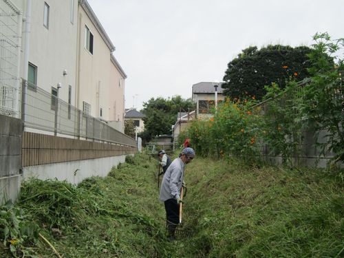 鎌倉パスタ駐車場脇