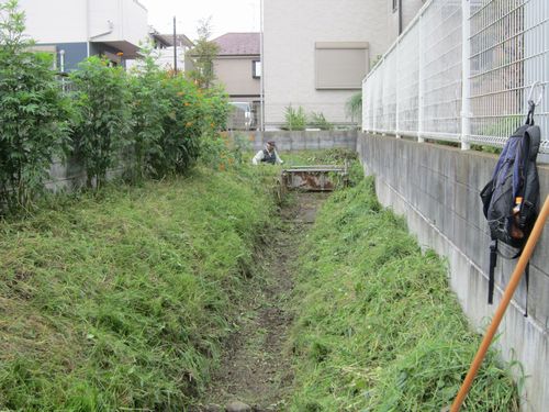 鎌倉パスタ駐車場脇