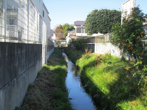 鎌倉パスタ駐車場脇