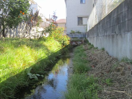 鎌倉パスタ駐車場脇