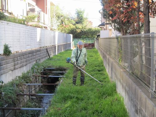 鎌倉パスタ駐車場脇