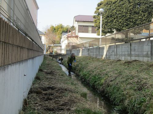 鎌倉パスタ駐車場脇