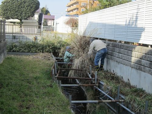 鎌倉パスタ駐車場脇