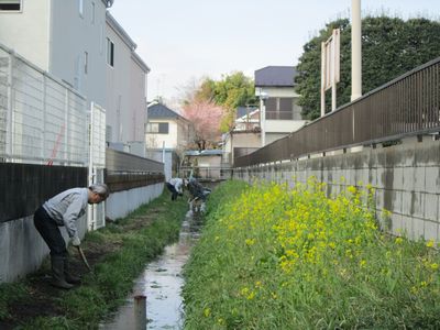 鎌倉パスタ駐車場脇