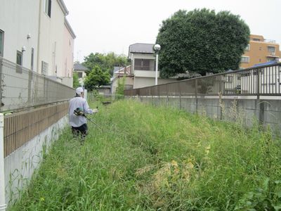 鎌倉パスタ駐車場脇