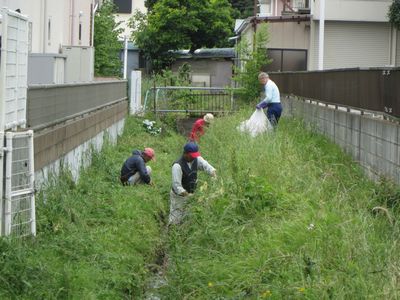 鎌倉パスタ駐車場脇