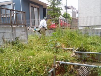 鎌倉パスタ駐車場脇