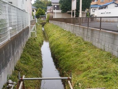鎌倉パスタ駐車場脇