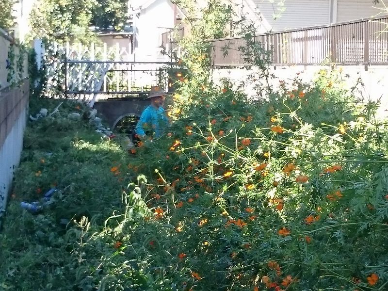 鎌倉パスタ駐車場脇