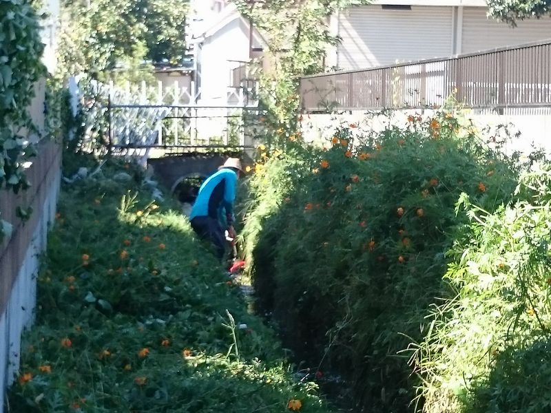鎌倉パスタ駐車場脇
