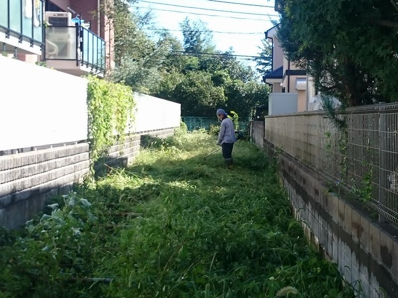 鎌倉パスタ駐車場脇