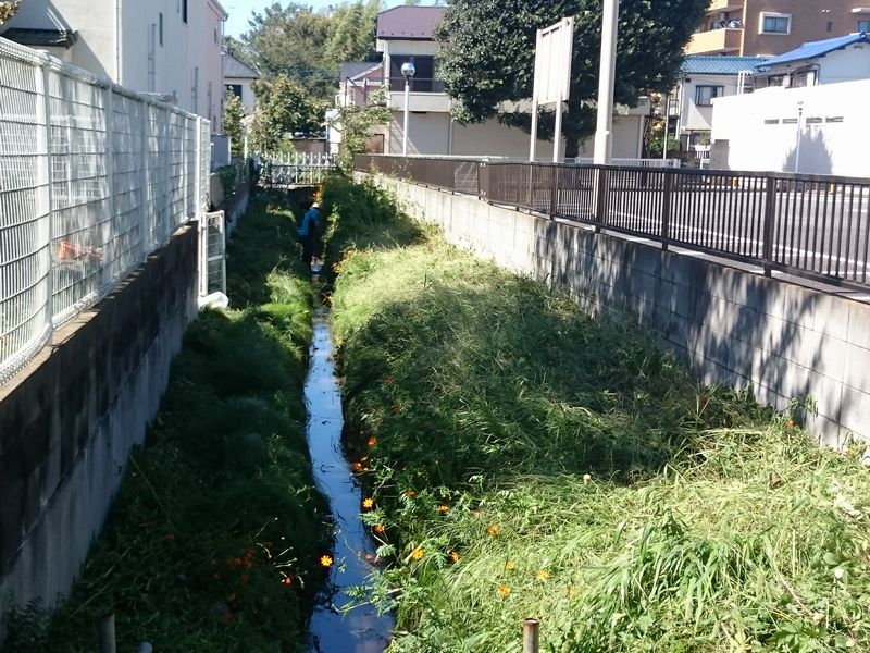 鎌倉パスタ駐車場脇