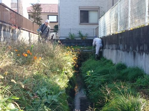 ヤマモモ公園脇