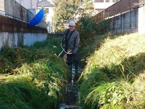 ヤマモモ公園脇