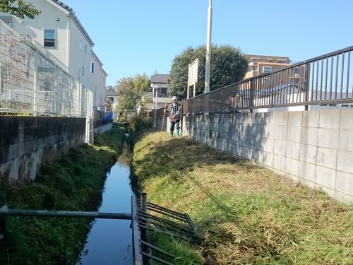 ヤマモモ公園脇