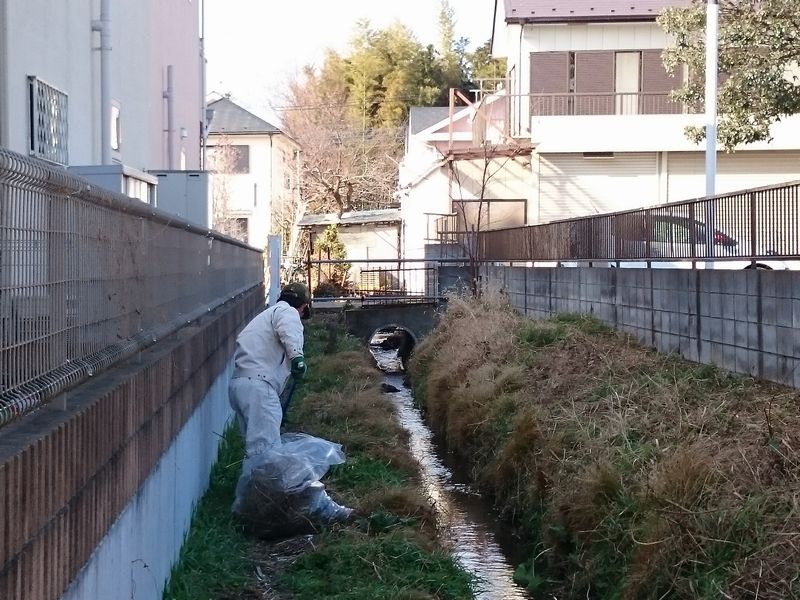 ヤマモモ公園脇