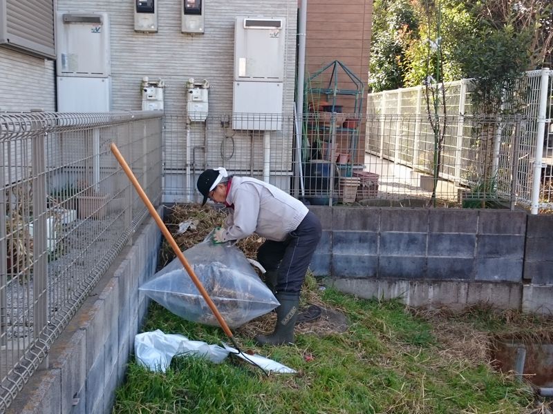 ヤマモモ公園脇