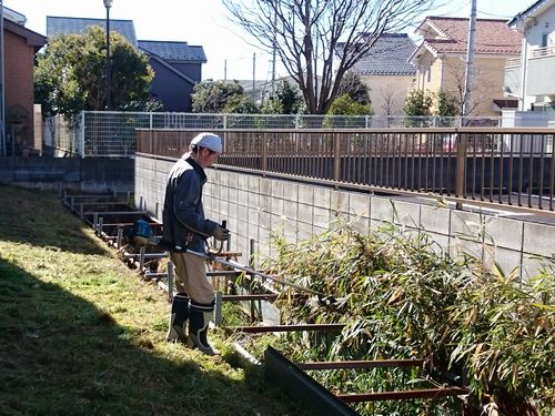 ヤマモモ公園脇