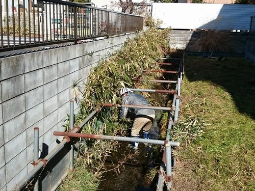 ヤマモモ公園脇