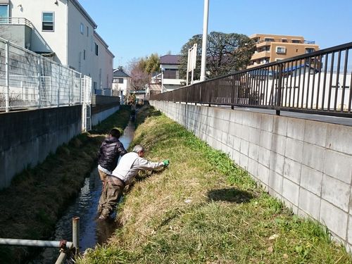 ヤマモモ公園脇