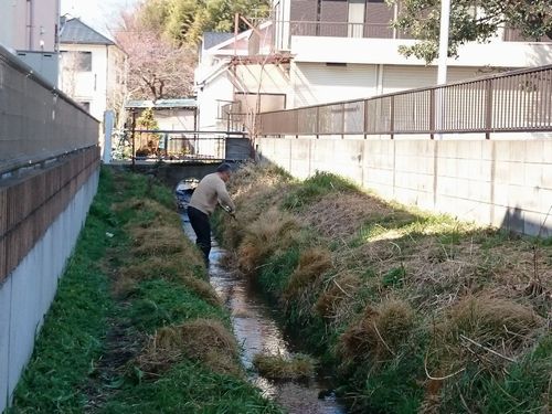 ヤマモモ公園脇