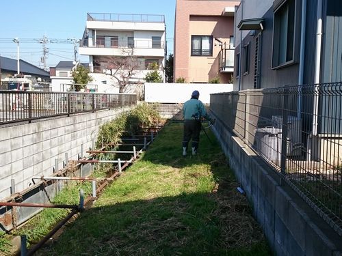 ヤマモモ公園脇