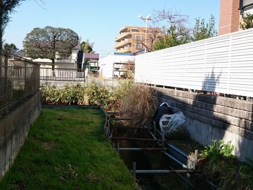 ヤマモモ公園脇