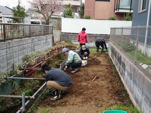 ヤマモモ公園脇