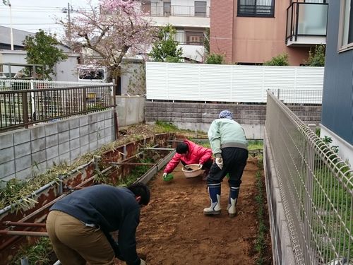 ヤマモモ公園脇