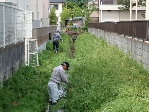 ヤマモモ公園脇