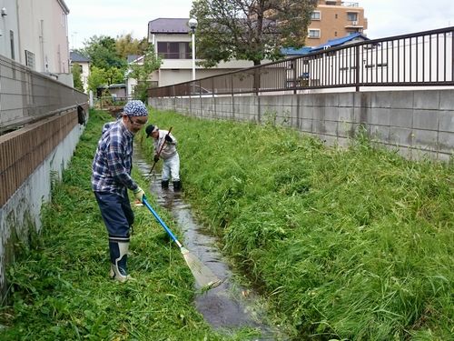 ヤマモモ公園脇