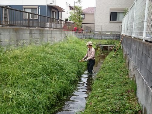 ヤマモモ公園脇