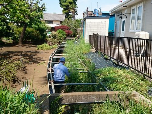 並木町公園西側