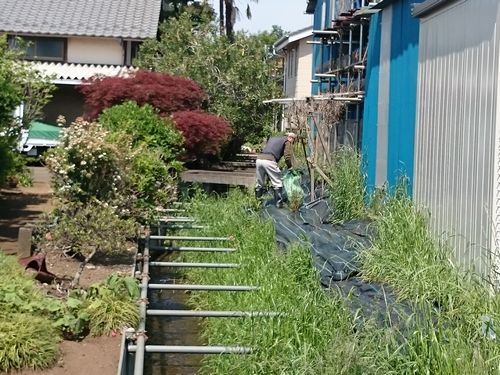 並木町公園西側