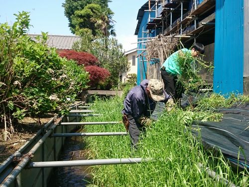 並木町公園西側