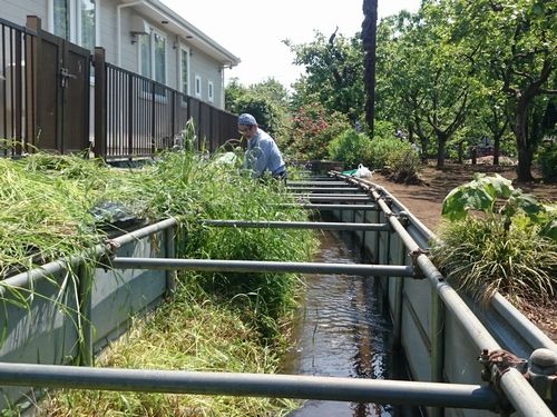 並木町公園西側