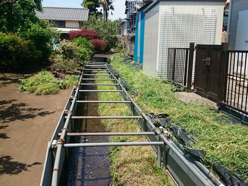 並木町公園西側