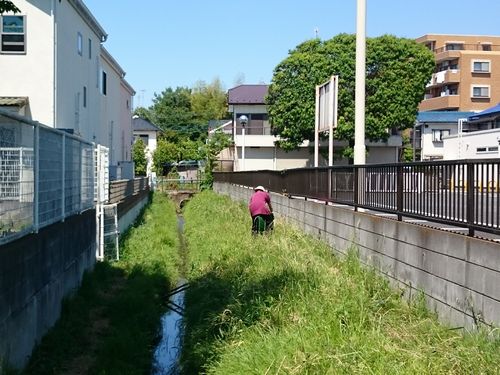 ヤマモモ公園脇