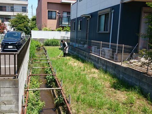 ヤマモモ公園脇