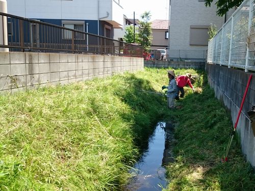 ヤマモモ公園脇