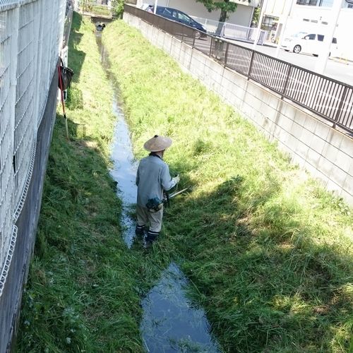 ヤマモモ公園脇