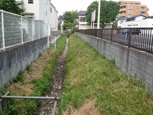 ヤマモモ公園脇