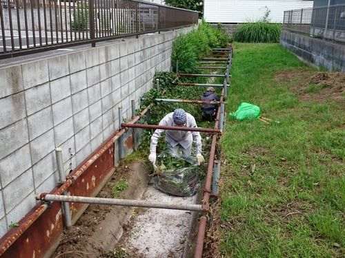 ヤマモモ公園脇