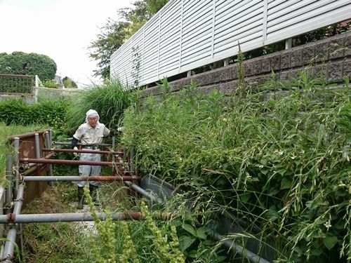 ヤマモモ公園脇