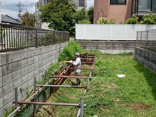 ヤマモモ公園脇