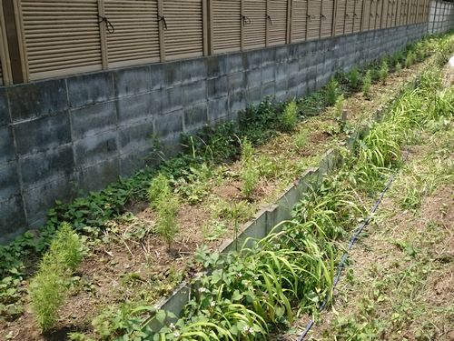 北町地域センター