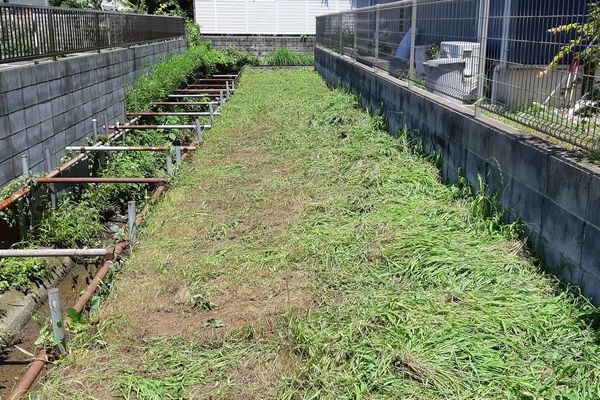 ヤマモモ公園脇