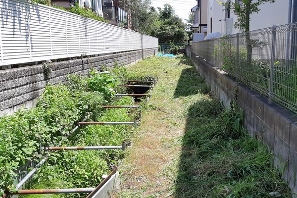 ヤマモモ公園脇